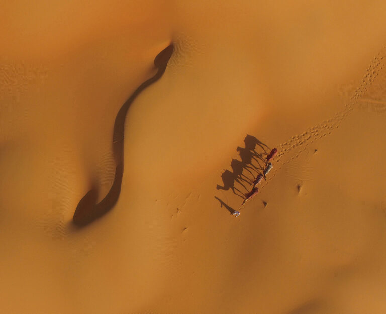 Mohammad Awadh - Snake